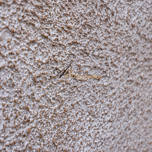 Textured Wall Art | Brown And Grey Wall Art | Modern Abstract Art | Wabi Sabi Art #DF042