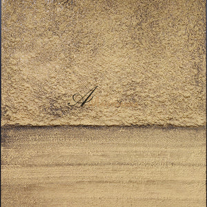 Brown Gold Wall Art | Wabi Sabi Art | Textured Paintings | Abstract Texture Wall Art #DF043